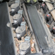 not my engine bay. I was too pissed to take pictures before I destroyed the cozy little mouse house.